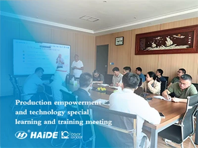 Reunió Especial d'Aprenentatge i Formació d'Apoderament i Tecnologia de la Pr...